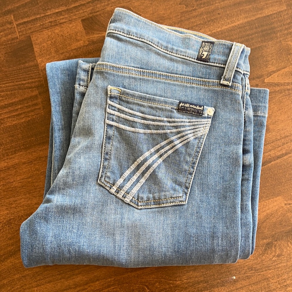 7 For All Mankind Dojo Dary Wide Leg